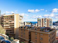 GRAND STUDIO VUE MER - Appartements à vendre à Monaco