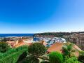 SPACIEUX 2 PIECES AVEC TERRASSE ET VUE MER - Appartements à vendre à Monaco