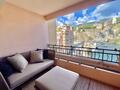 LARGE 2 PIECES LUXUEUX - Appartements à vendre à Monaco
