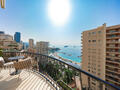 APPARTEMENT LUXUEUX 2/3 PIECES EN DERNIER ETAGE - Appartements à vendre à Monaco