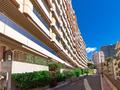 GRAND DEUX PIECES AVEC JARDIN - Appartements à vendre à Monaco