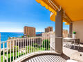 3 PIECES RÉNOVÉ VUE MER - Appartements à vendre à Monaco