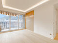 MAGNIFIQUE 2 PIECES RENOVE - Appartements à vendre à Monaco