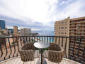 APPARTEMENT LUXUEUX 2/3 PIECES EN DERNIER ETAGE - Appartements à vendre à Monaco