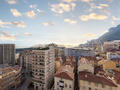MAGNIFIQUE 2 PIECES RENOVE - Appartements à vendre à Monaco