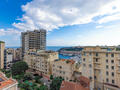 MAGNIFIQUE 3 PIECES RENOVE - Appartements à vendre à Monaco