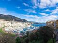 LOFT A TRANSFORMER EN 2/3 PIECES - Appartements à vendre à Monaco