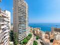 STUDIO - IDEAL INVESTISSEMENT - Appartements à vendre à Monaco