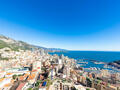 LUXUEUX 3 PIECES - Appartements à vendre à Monaco
