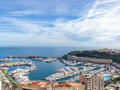 MAGNIFIQUE DUPLEX PENTHOUSE AVEC VUE MER - Appartements à vendre à Monaco