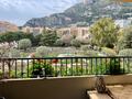 2 PIECES - TRÈS JOLI APPARTEMENT À FONTVIELLE - Appartements à vendre à Monaco